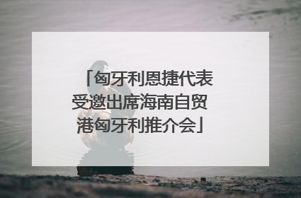匈牙利恩捷代表受邀出席海南自贸港匈牙利推介会