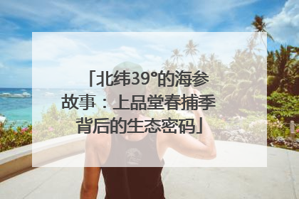 北纬39°的海参故事：上品堂春捕季背后的生态密码