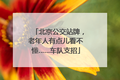 北京公交站牌，老年人有点儿看不懂……车队支招