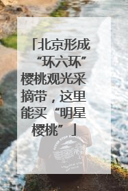 北京形成“环六环”樱桃观光采摘带，这里能买“明星樱桃”