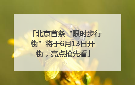 北京首条“限时步行街”将于6月13日开街，亮点抢先看