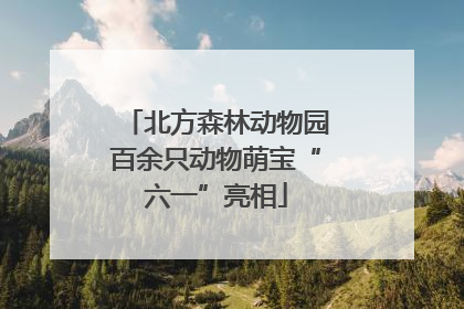 北方森林动物园百余只动物萌宝“六一”亮相
