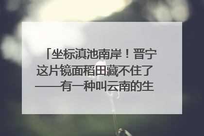 坐标滇池南岸！晋宁这片镜面稻田藏不住了——有一种叫云南的生活之365天
