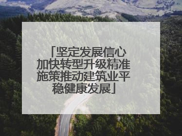 坚定发展信心 加快转型升级精准施策推动建筑业平稳健康发展