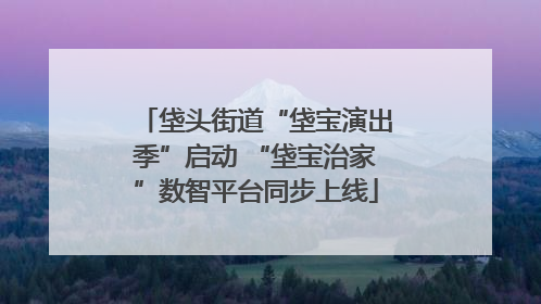 垡头街道“垡宝演出季”启动 “垡宝治家”数智平台同步上线