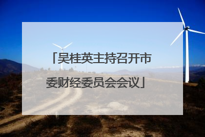 吴桂英主持召开市委财经委员会会议