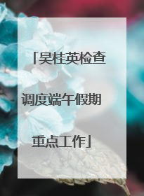 吴桂英检查调度端午假期重点工作