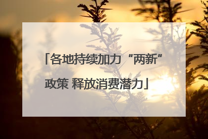 各地持续加力“两新”政策 释放消费潜力
