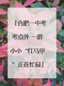 合肥一中考考点外 一群小小“红马甲”正在忙碌