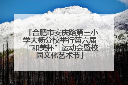 合肥市安庆路第三小学大杨分校举行第六届“和美杯”运动会暨校园文化艺术节