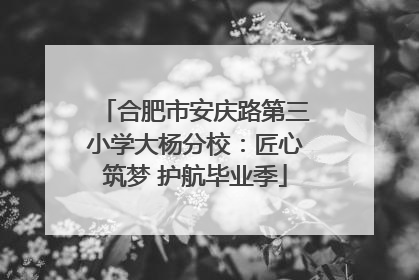 合肥市安庆路第三小学大杨分校：匠心筑梦 护航毕业季