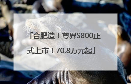 合肥造！尊界S800正式上市！70.8万元起