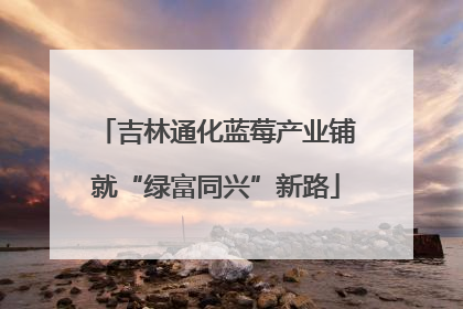 吉林通化蓝莓产业铺就“绿富同兴”新路