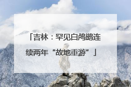 吉林：罕见白鸬鹚连续两年“故地重游”