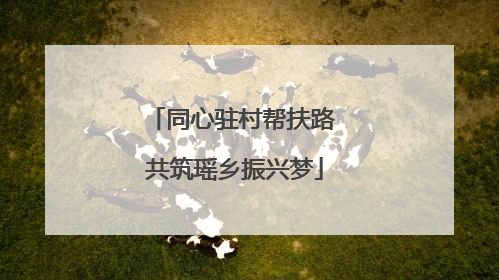 同心驻村帮扶路 共筑瑶乡振兴梦