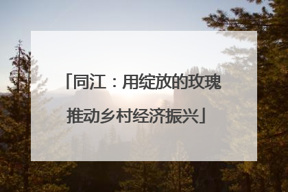 同江：用绽放的玫瑰 推动乡村经济振兴