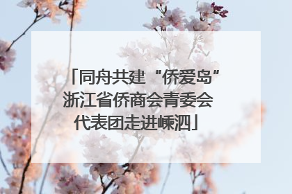 同舟共建“侨爱岛” 浙江省侨商会青委会代表团走进嵊泗