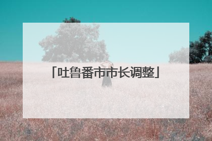 吐鲁番市市长调整