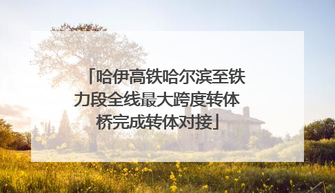 哈伊高铁哈尔滨至铁力段全线最大跨度转体桥完成转体对接