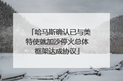 哈马斯确认已与美特使就加沙停火总体框架达成协议