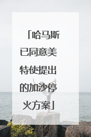 哈马斯已同意美特使提出的加沙停火方案