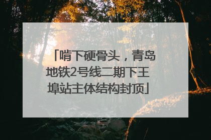 啃下硬骨头，青岛地铁2号线二期下王埠站主体结构封顶