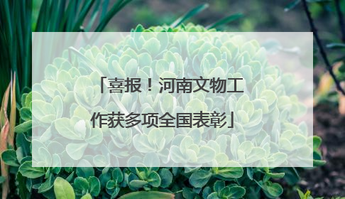 喜报！河南文物工作获多项全国表彰