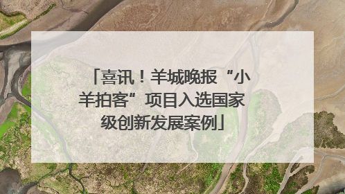 喜讯！羊城晚报“小羊拍客”项目入选国家级创新发展案例