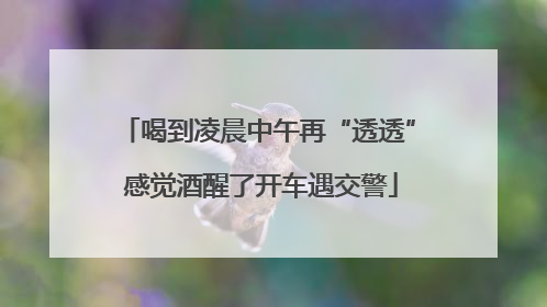 喝到凌晨中午再“透透” 感觉酒醒了开车遇交警