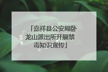 嘉祥县公安局卧龙山派出所开展禁毒知识宣传