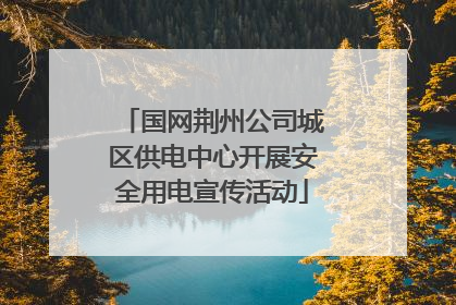 国网荆州公司城区供电中心开展安全用电宣传活动