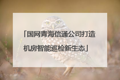 国网青海信通公司打造机房智能巡检新生态