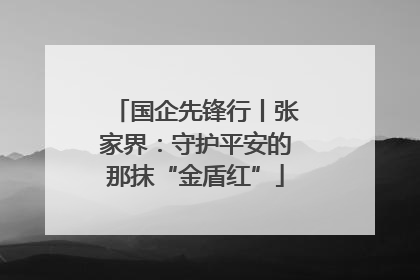 国企先锋行丨张家界：守护平安的那抹“金盾红”