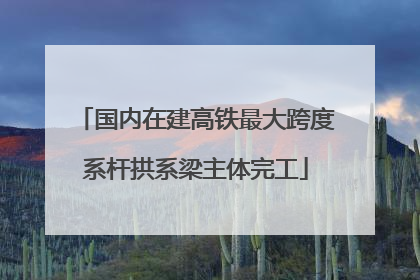 国内在建高铁最大跨度系杆拱系梁主体完工