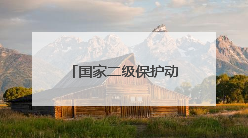 国家二级保护动物，在南昌获救