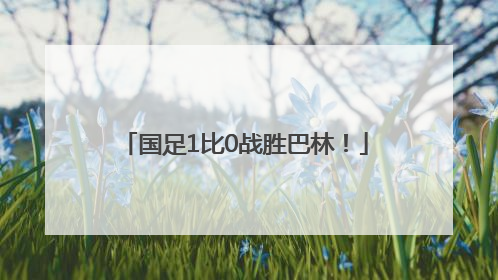国足1比0战胜巴林！