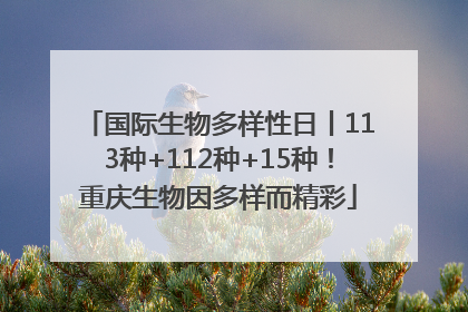 国际生物多样性日丨113种+112种+15种！重庆生物因多样而精彩