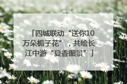 四城联动“送你10万朵栀子花”，共绘长江中游“夏香图景”