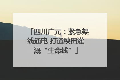 四川广元：紧急架线通电 打通秧田灌溉“生命线”