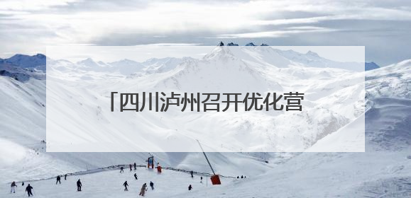 四川泸州召开优化营商网络环境专项行动工作推进会 涉企网络乱象集中整治初见成效