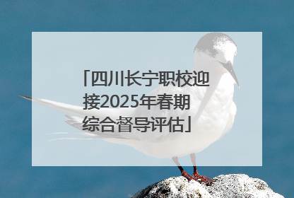 四川长宁职校迎接2025年春期综合督导评估