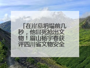 在崖墓坍塌前几秒，他冒死抢出文物！眉山杨宇春获评四川省文物安全守护者