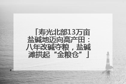 寿光北部13万亩盐碱地迈向高产田：八年改碱夺粮，盐碱滩拱起“金粮仓”