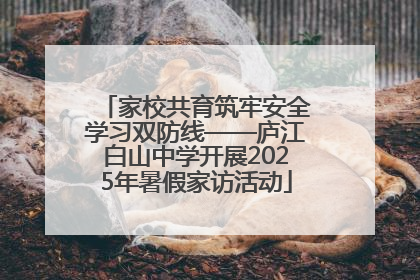 家校共育筑牢安全学习双防线——庐江白山中学开展2025年暑假家访活动