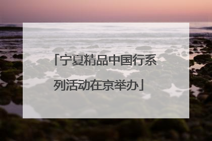宁夏精品中国行系列活动在京举办