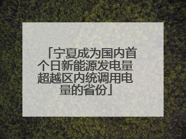 宁夏成为国内首个日新能源发电量超越区内统调用电量的省份