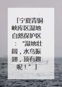 宁夏青铜峡库区湿地自然保护区：“湿地壮阔，水鸟振翅，顶有趣呢！”