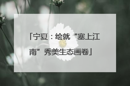 宁夏：绘就“塞上江南”秀美生态画卷