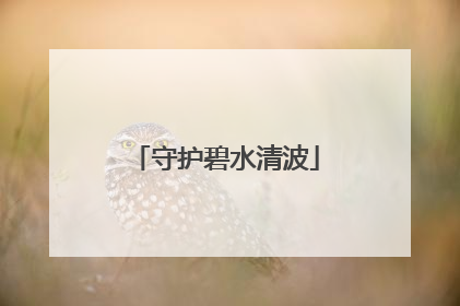 守护碧水清波
