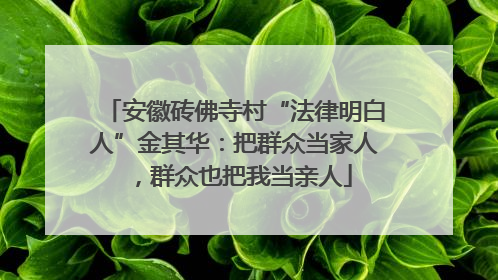 安徽砖佛寺村“法律明白人”金其华：把群众当家人，群众也把我当亲人